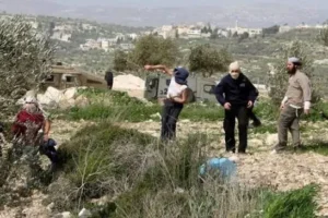 مستعمرون يهاجمون مركبات المواطنين قرب بيتونيا